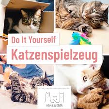 Katzenzubehor Zum Selbermachen Meinhaustier Katzenspielzeug Diy Doityourself Katze Katzen Spielzeug Katzenspielzeug Haustier