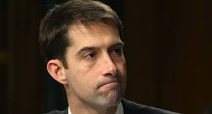 Cotton: Trump can make his own case for election