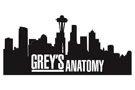 Shane was riding in the back of an ambulance driven by mary daltrey when she had a seizure and crashed into another ambulance. Grey S Anatomy Vinyl Decal Sticker Seattle Grey Sloan Memorial Hospital City Skyline Car Tumbler Window Dec Ideias Para Canecas Canecas Dias Das Maes