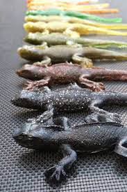 Off To Landbigfish Lure Making Lizard Bass Fishing
