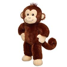 Image result for monkey