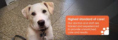 Have a desire for a veterinarian who will really listen? Willard Veterinary Clinic Quincy Veterinarians