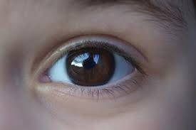 10 hewan yang mempunyai mata luar biasa. Benarkah Warna Bola Mata Yang Lebih Gelap Bisa Melihat Dengan Lebih Baik Semua Halaman Bobo