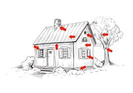 Wer fledermäuse am haus hat, hat meist dennoch kaum direkten kontakt zu den tieren. Fledermaus Kot Gefunden So Reagieren Sie Richtig