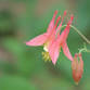 GUIDED WILDFLOWER HIKE