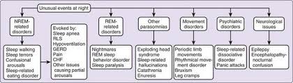 Cardinal Manifestations Of Sleep Disorders Neupsy Key