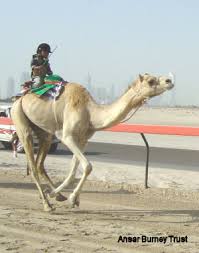 What is a camel jockey? Image Camel Jockey Ansarburney Jpg Wikipedia The Free Encyclopedia