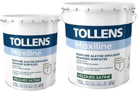 Peinture Tollens Professionnelle Maxiline Velours Satine Peinture Tollens Peinture Peinture Mur Et Plafond
