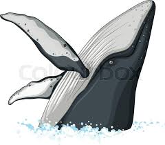 We did not find results for: Half Body Of Humpback Whale Stock Vector Colourbox