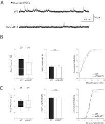 (review) teqstone 3 gang square auxiliary switch panel for l. A Proline Rich Motif On Vglut1 Reduces Synaptic Vesicle Super Pool And Spontaneous Release Frequency Abstract Europe Pmc