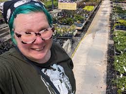 Morning Glories Growth and Care