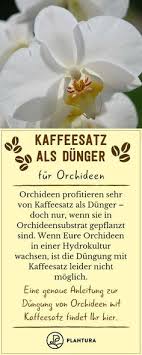 Kaffeesatz Als Dunger Verwendung Vorteile Plantura Kaffeesatz Orchideen Richtig Pflegen Hydrokultur