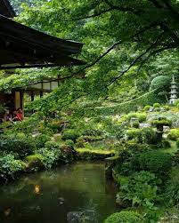 Rainy Temple Day Sanzenin Sanzenintemple Ohara Kyoto Kyotocity Japan Buddhisttemple Japanese Garden Video Garden Garden Design
