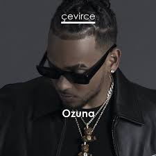 ¿por qué todo tiene que ser confuso? Ozuna Camilo Despeinada Spanisch Songtext Deutsch Ubersetzung Ubersetzer Corporate Cevirce