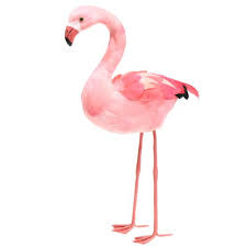Hi it's albert from flamingo! Deko Flamingo Mit Federn Rosa H45cm 354973