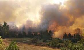 Check spelling or type a new query. Cytcr Ya4phwwm