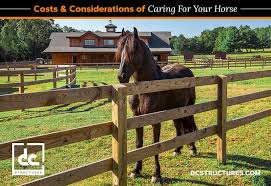 Believe it or not, it is not so exclusive even though a horse is an expensive investment, the direct expenses you need to think about include the state where you live and how you decide to. How Much Does A Horse Cost Archives Dc Structures