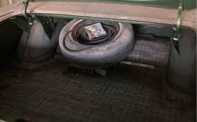 Image result for Vitamin C 1969 Fury