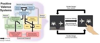 Cross‐species translational paradigms for assessing positive valence system  as defined by the RDoC matrix - Dexter - 2025 - Journal of Neurochemistry -  Wiley Online Library