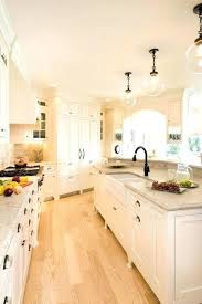 Dark floors, white walls, black door. Image Result For Decor For Light Wood Floors Inexpensive Kitchen Remodel Interior Design Kitchen Kitchen Design