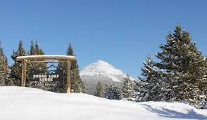 Find unique places to stay with local hosts in 191 countries. Sugar Loaf Lodge And Cabins