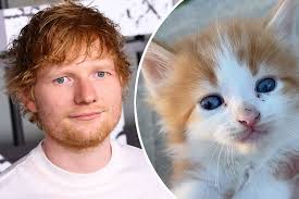 Kieran Slevin (@kslevinmd)