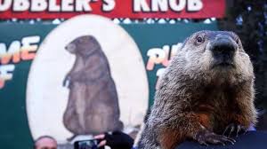 He gets caught in a blizzard that he didn't predict and finds himself trapped in a time warp. Groundhog Day 2020 Why Peta Probably Won T Have Phil Replaced With Robot