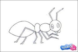 See more ideas about drawings, easy drawings, drawing for kids. How To Draw Insects Ant Easy Step By Step Tutorial For Kids Insect Art Projects How To Draw Insects Drawings