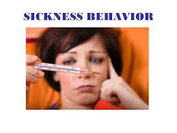 L'asse cervello-intestino