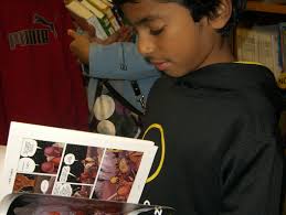 Graphic novels gain ground at Westford's public library