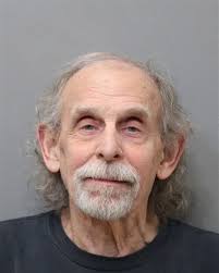 Man jailed for shooting horses