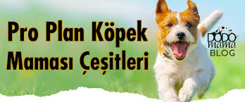 Pro Plan Kopek Mamasi Cesitleri Nelerdir