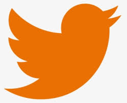 Download 404 twitter logo cliparts for free. Twitter Logo Png Orange Twitter Logo Transparent Png Download Kindpng
