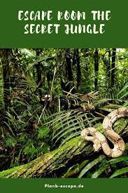 escape room the secret jungle in germany escape room escape game jungle