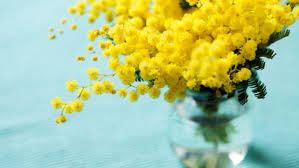 L'iniziativa prenditi cura di te! della consulta delle donne con la croce rossa, il comune di cisterna e la pro loco. Festa Della Donna Perche Si Festeggia L 8 Marzo