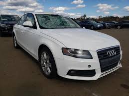 Image result for Ibis White 2009 A4