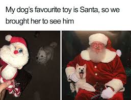 Santa Paws Christmas Memes Funny Christmas Memes Funny Romantic Memes