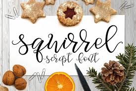 How do i download web fonts from font squirrel? Squirrel Script Font 46998 Script Font Bundles