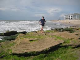 Coquina Outcrop Carolina Comforts Vacation Planning Guide