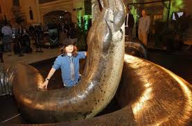 12 Hal Menarik Ular Titanoboa Reptil Terbesar Zaman Purba Diedit Com