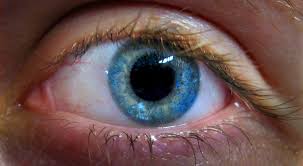 The monetary downturn, approaching privilege changes and potential spending cuts in the united states at the government and state level are permitting the development of urgent care clinics, also called prompt care clinics, to significantly increment. Urgent Eye Care Service Launched For Teesside Patients The Northern Echo