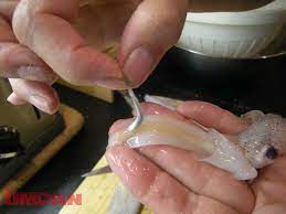 Terutama bagi yang baru nak belajar memasak sendiri. Tip Membersihkan Sotong Dan Menanggalkan Kantung Dakwat Umpan