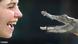 211 Lucy Fraser Stock Photos, High-Res Pictures, and Images