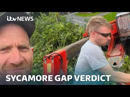 Daniel Graham and Adam Carruthers found guilty of cutting down Sycamore Gap  tree