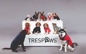 Your dog is unique and wonderful and no one can blame you for wanting a name that befits her personality. Cashing In On Fashion For Man S Best Friend