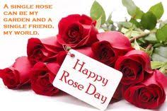 Preparing questions list for you. Happy Rose Day 2021 Rose Day 2021 Images And Wishes To Share With Your Loved Ones On This Special Day Trending Viral News