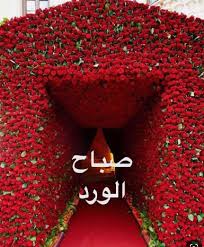 Discover (and save!) your own pins on pinterest Best Good Morning Images Picture Photo In Urdu