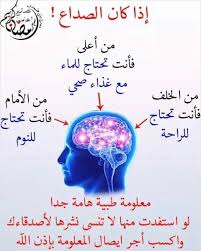 الم الراس Health And Fitness Magazine Health Facts Food Health Fitness Nutrition