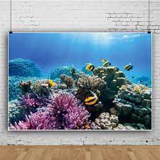 We did not find results for: Buy Qinunipoto 5x3ft Polyester Fabric Undersea Coral And Fish Backdrop Scene Marine Aquarium Photography Background Kids Birthday Party Decoration Girl Boy Baby Child Newborn Portrait Photo Studio Props Online In Turkey B08vjbngp8