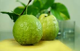 guava fruit 1080p 2k 4k 5k hd wallpapers free download wallpaper flare guava fruit 1080p 2k 4k 5k hd